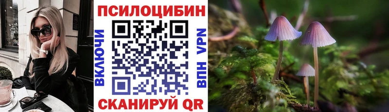 Купить где  Томмот  Псилоцибиновые грибы мицелий 